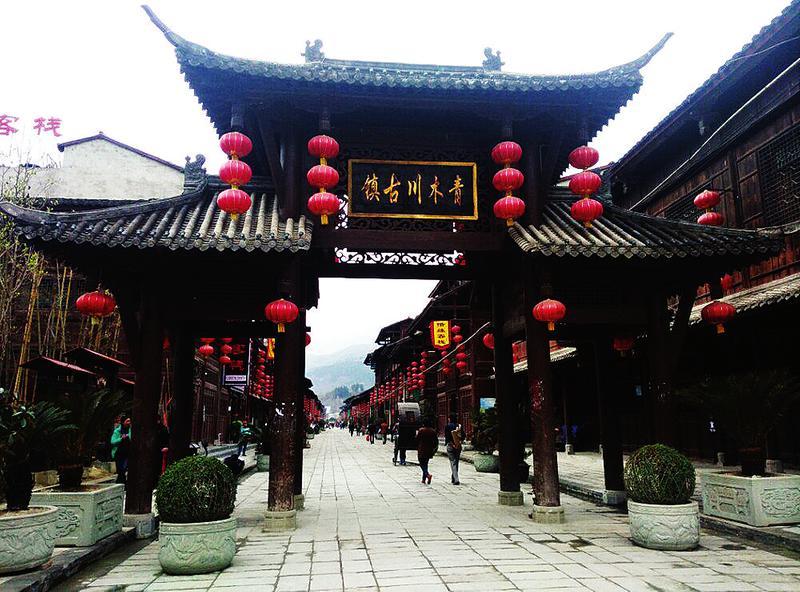 救援鹦鹉